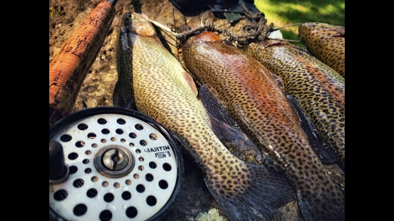 Bennett Springs Trout Fishing | Fly Fishing With Sinking Line