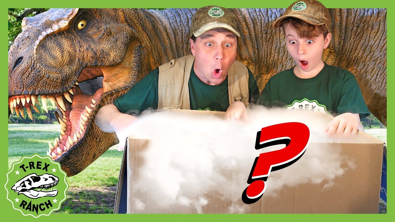 Search for New Dinosaur Theme Park! GIANT Mystery Box with T-Rex Dinosaurs for Kids! T-Rex Ranch