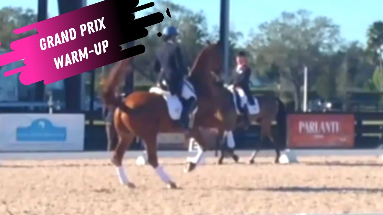 Uncut Grand Prix Dressage Warm-Up Footage Featuring Catherine Haddad