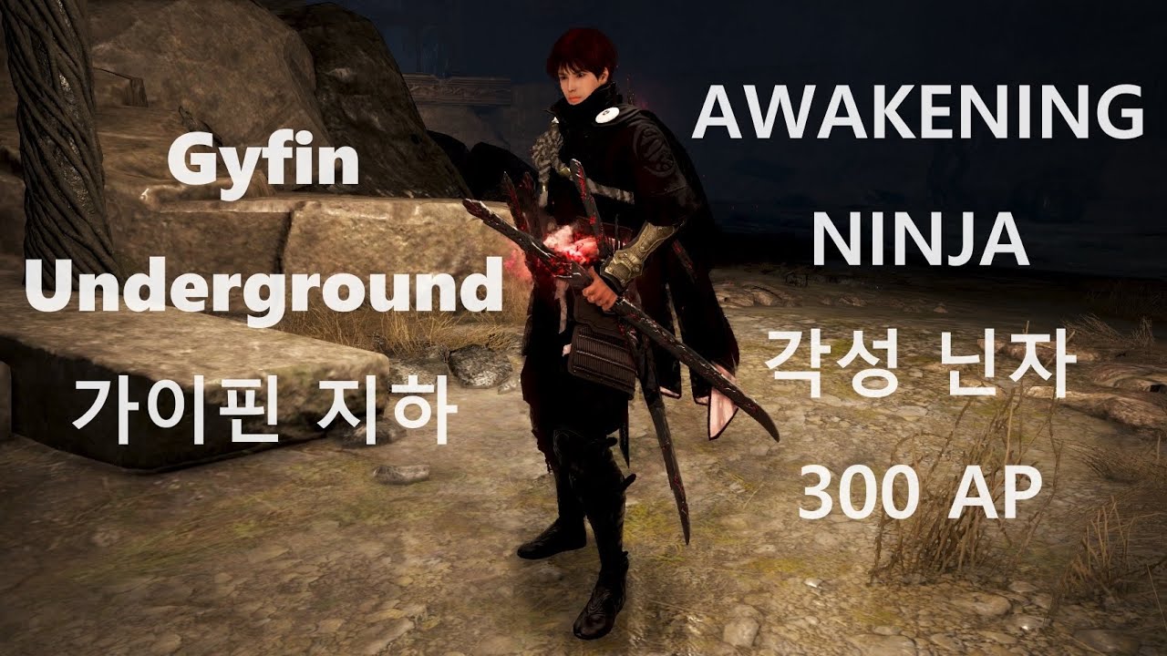Black Desert 각성 닌자 300공 Awakening Ninja 300 AP 가이핀 지하 Gyfin Underground
