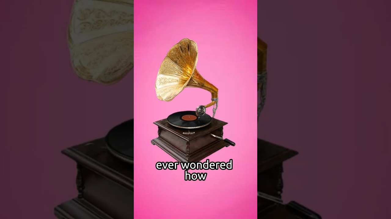 How Do Vinyl Discs Work