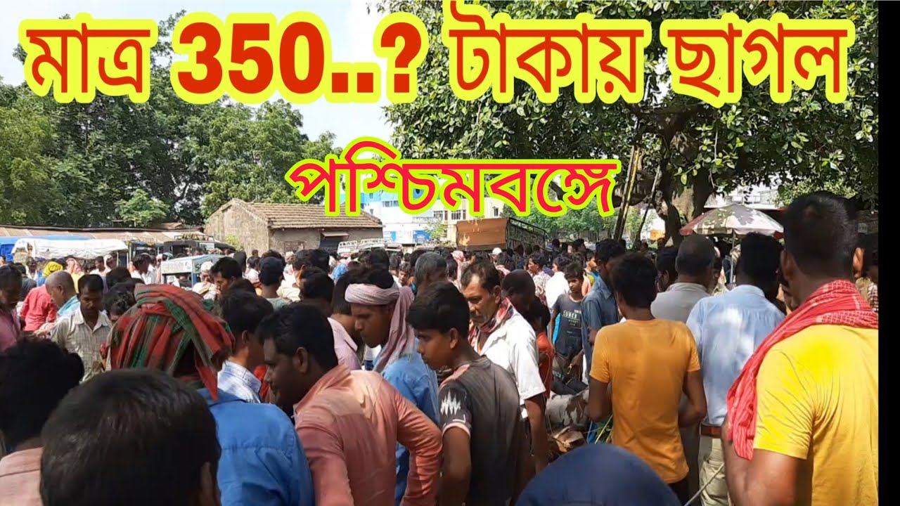 Cheapest Goat Market in India West Bengal || Goat Farming West Bengal