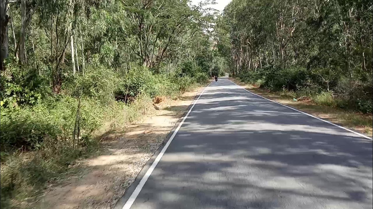 Driving through Forest and hilly road
