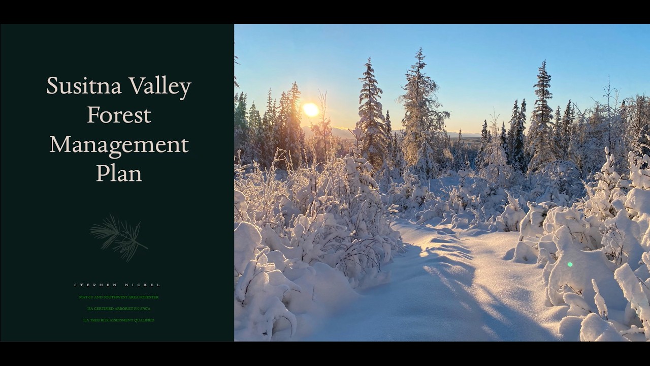 Susitna Valley Forest Management Plan &ndash; Project Background