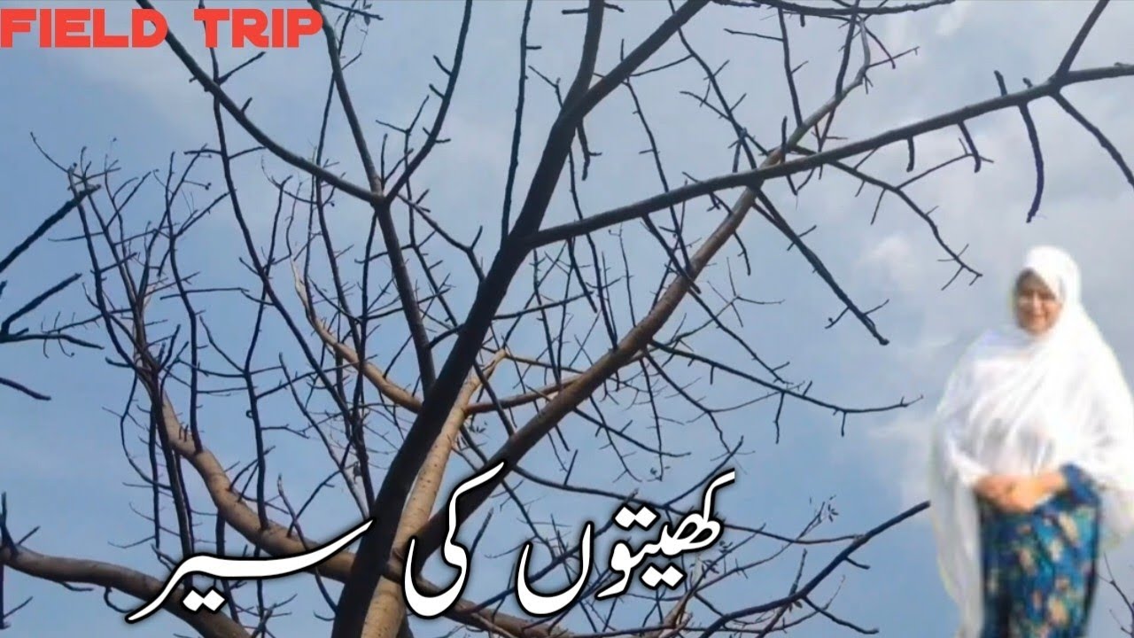 کھیتوں کی سیر field trip 