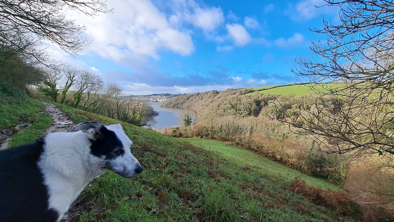 Polruan Walk