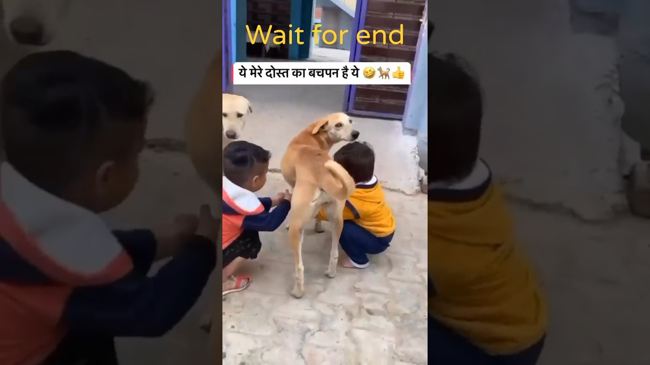 Funny video🤣😆😂😁 