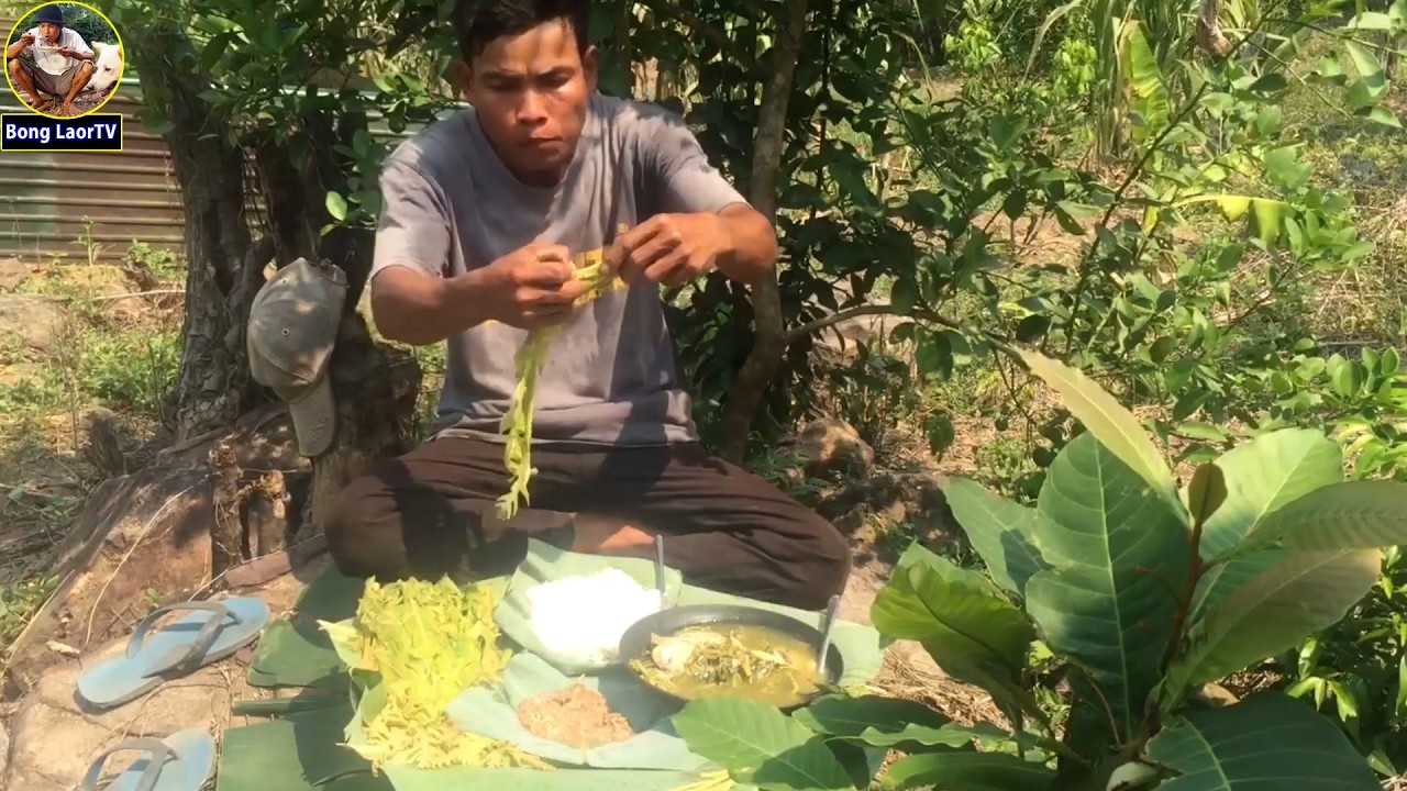 ដើរចូលព្រៃតាមកោះរកបេះប៉ប្រកមកស្លរប្រហើរកាត់ដំបូកធំមានយក្ខរស់នៅ GO IN TO THE WILD TO FIND VEGETABLE