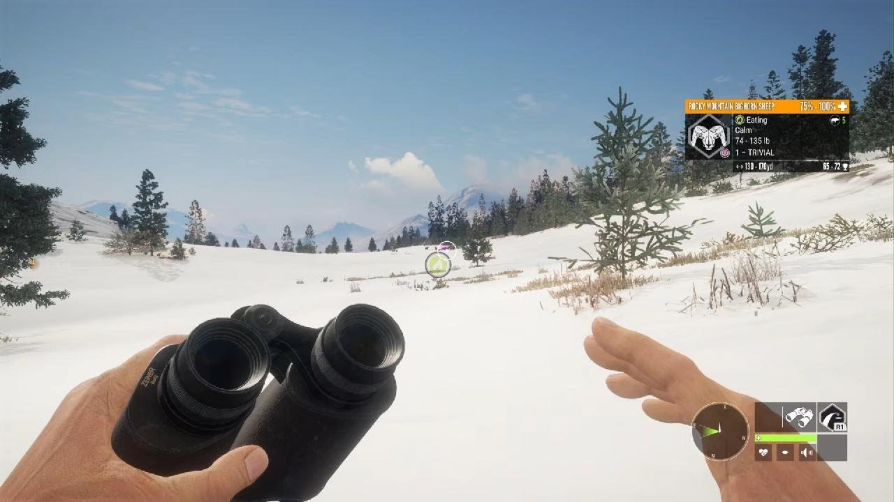 Old video