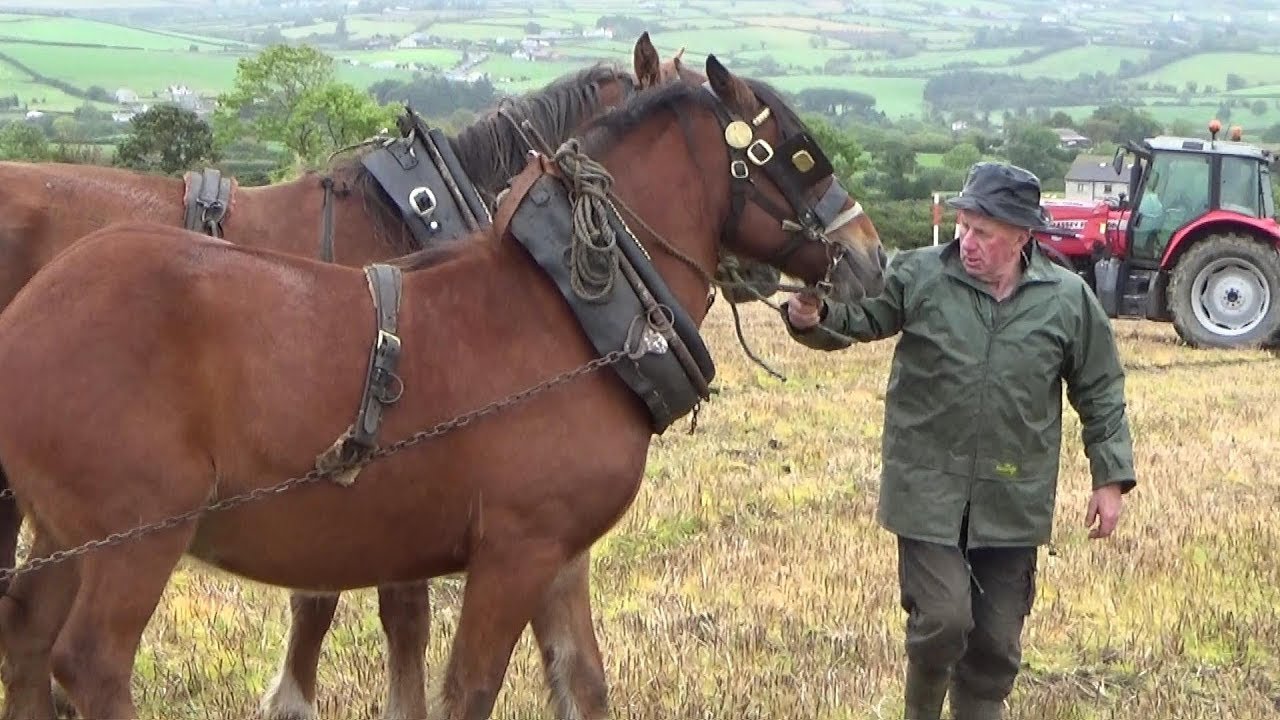 The Lennon Ploughing Manorcunningham 2017