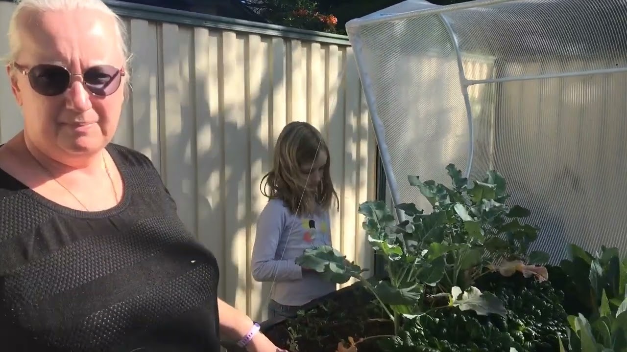 My Garden