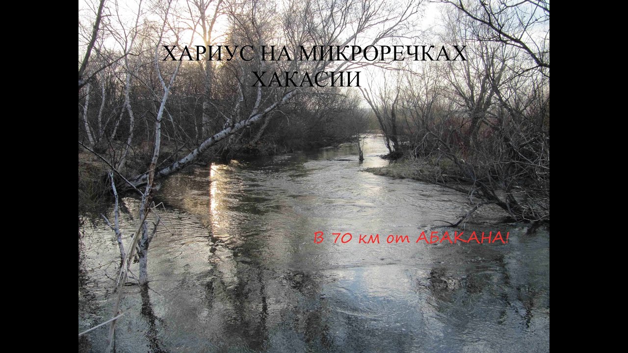 Рыбалка на микроречках Хакасии. Хариус в 70 км от Абакана!!!