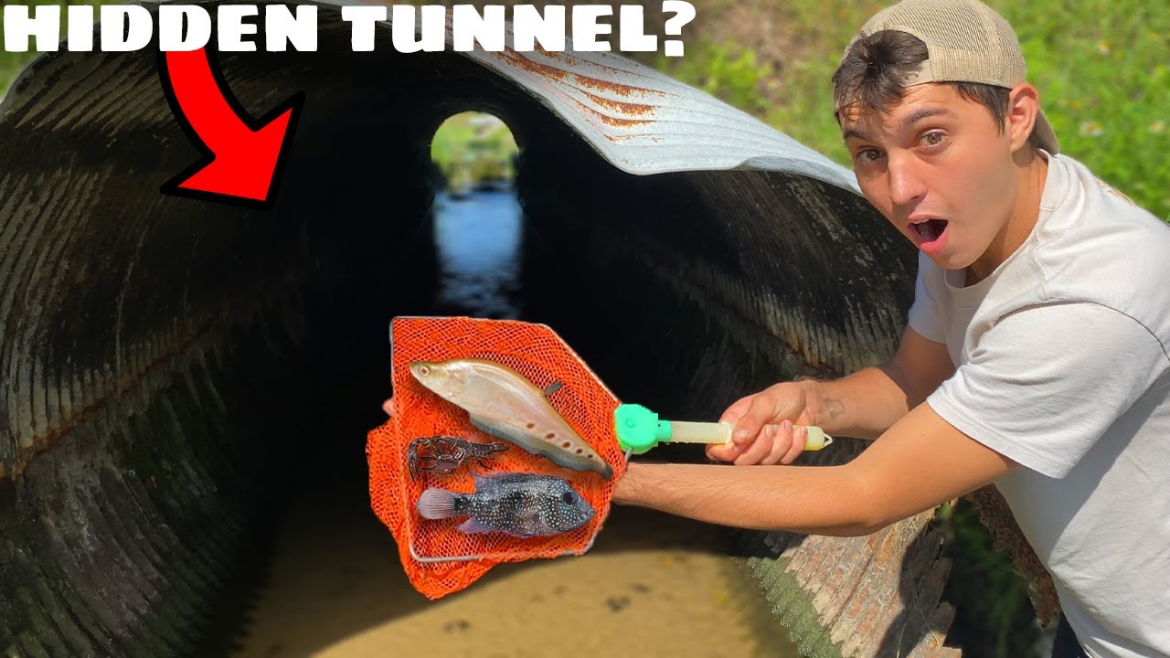 NETTING EXOTIC FISH In HIDDEN TUNNEL!