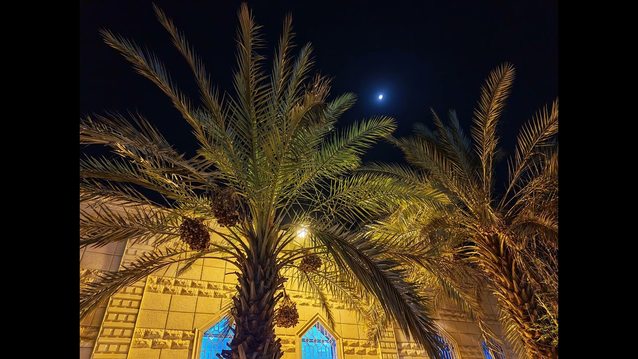 أذان العشاء || 13-2-1447هـ || صالح السهلي