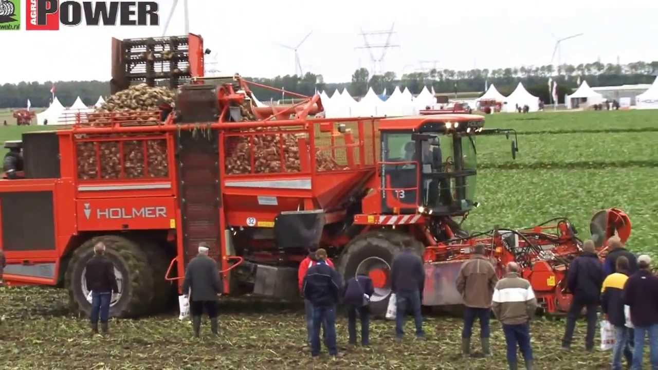 Holmer Terra Dos T3 Plus UTP