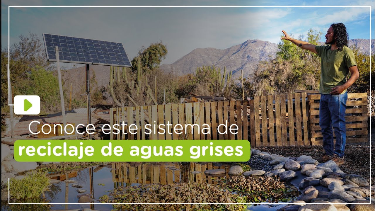 En 5 paso: ¿Cómo funciona un sistema de reciclaje de aguas grises? 💧🤔