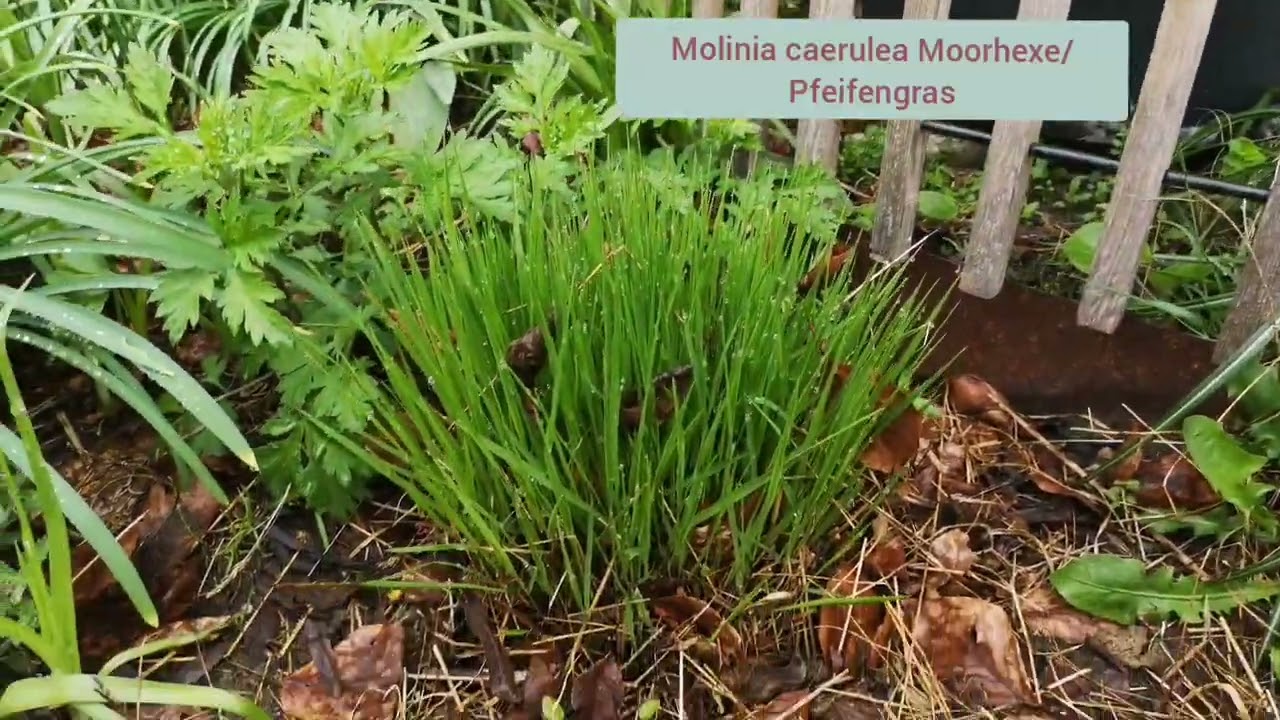 Wohlfühlort Garten für Mensch und Tier