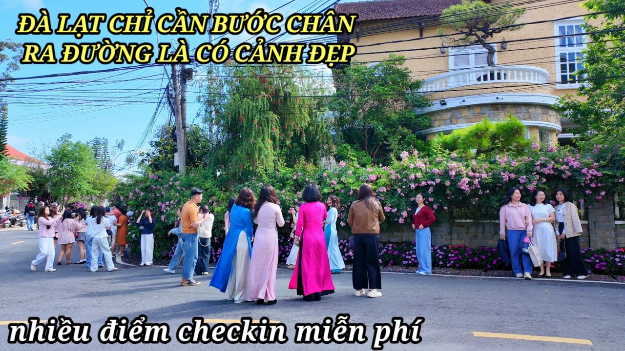 Ở Đà Lạt bước ra đường là có cảnh đẹp, nhiều điểm checkin miễn phí