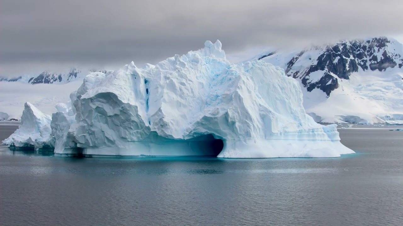 The Last Continent