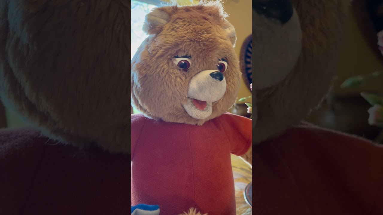 Teddy Ruxpin I got for $8 at a Flea Market #teddyruxpin #1985 #throwback #cool #shorts