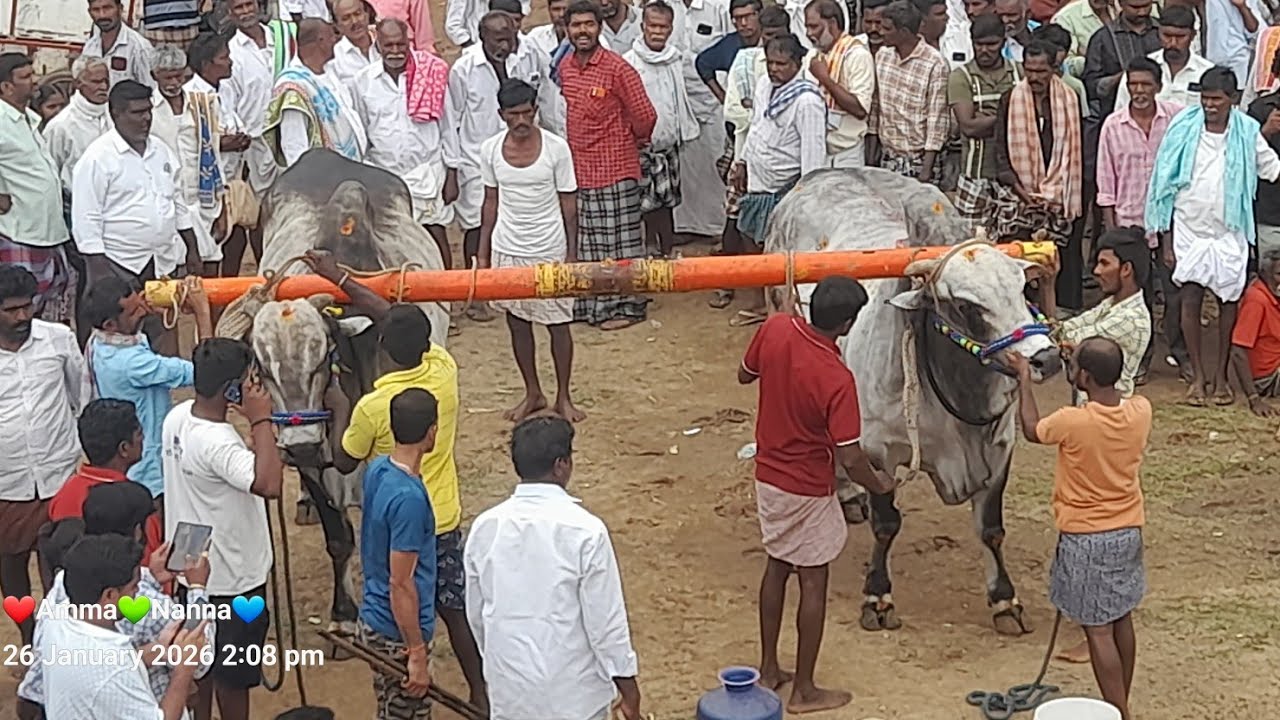💥🌾కుంపిణిపురం ఓల్డ్ కేటగిరి విభాగానికి 3వ జత  💥26-01-2026💥