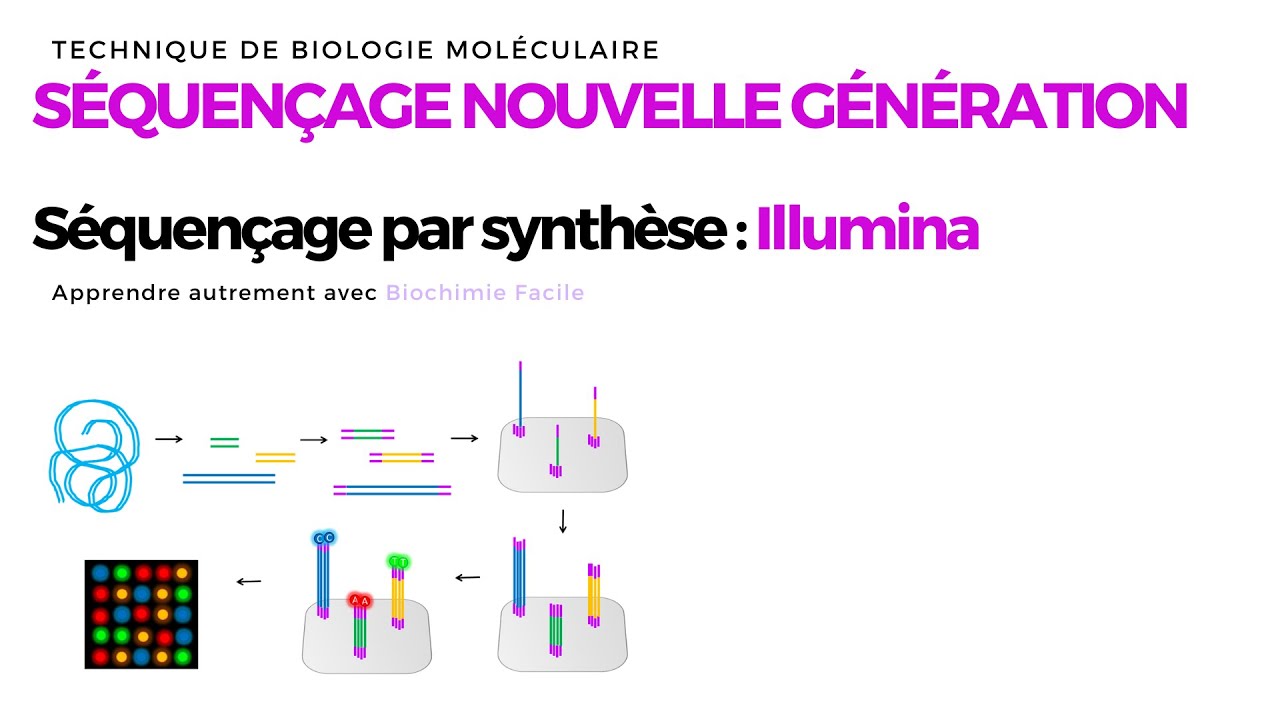 Séquençage Nouvelle Génération (NGS) 🧬: Illumina | Principe
