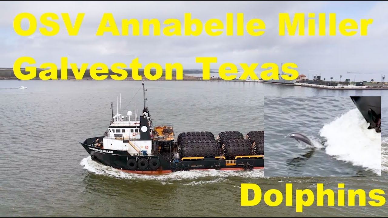 OSV Offshore Supply Vessel Annabelle Miller Arriving at the Port Of Galveston with Dolphins