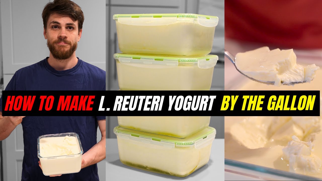 L. Reuteri Yogurt Meal Prep | Make It by the Gallon | Dr. William Davis’ Recipe