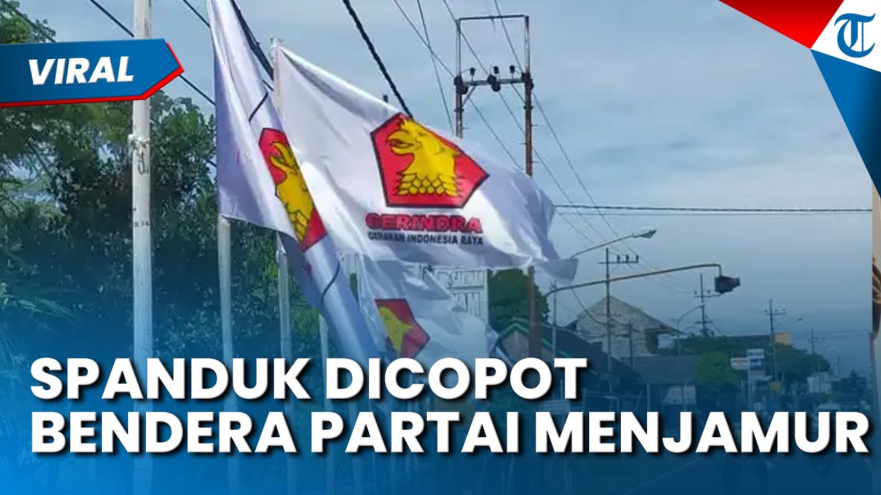 BENDERA GERINDRA MENJAMUR Buat Warga Kesal, Singgung Pernyataan Presiden Prabowo soal Spanduk