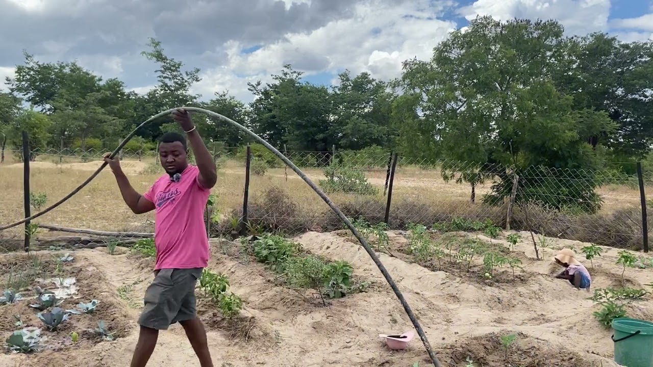 Living in the village | Our future plans