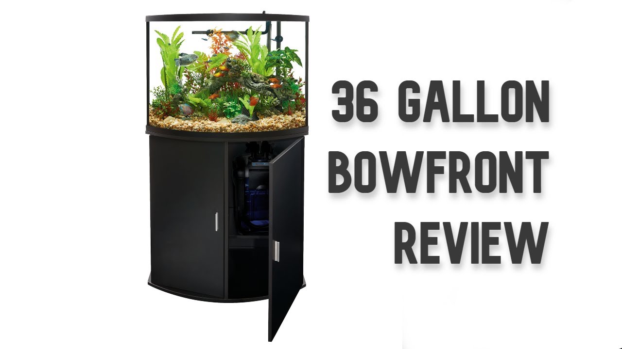 Обзор аквариума Top Fin 36g Bowfront