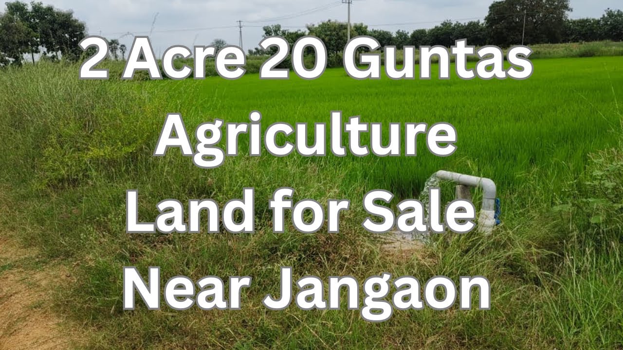 2.5 Acres Agriculture Land for Sale near Narmetta | Jangaon District | Full Water Facility