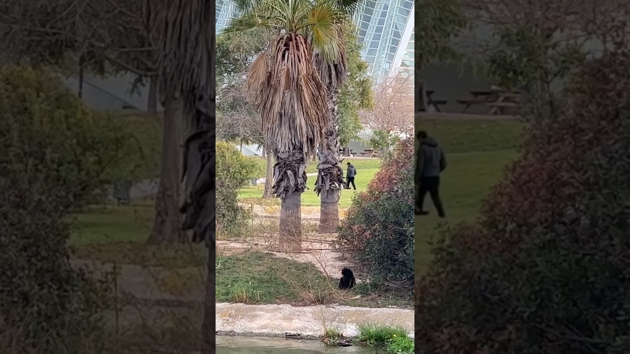 Valencia, Turia gardens and Camins al Grau