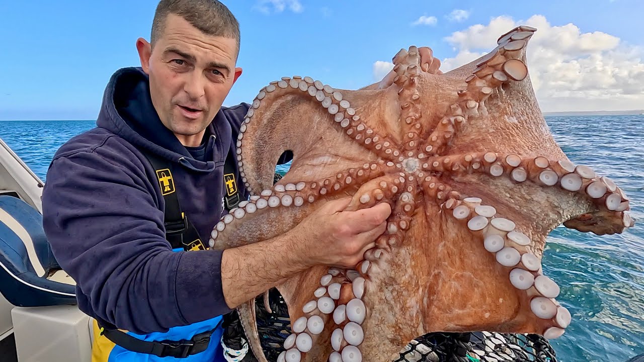 Первые уловы из ловушек для лобстеров FishLocker &mdash; Удастся ли нам убежать от &laquo;Осьминога&raquo;?? | The ...