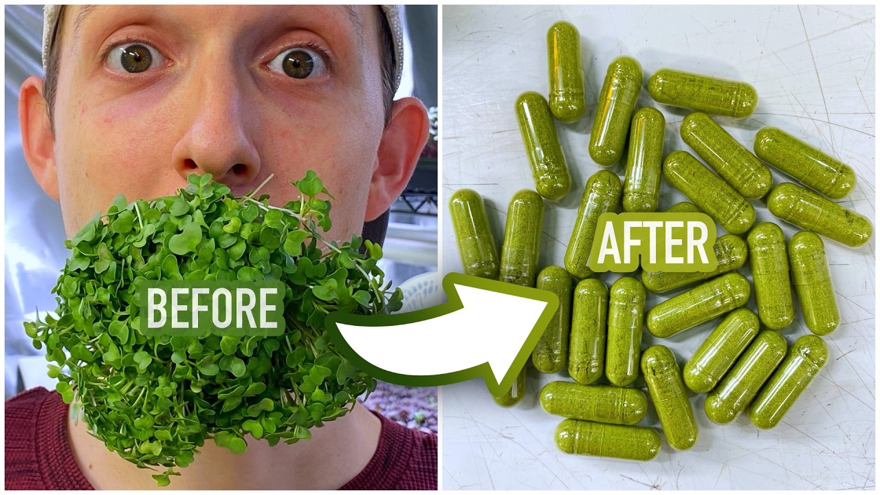 How To Make Sulforaphane Supplements With Broccoli Microgreens!