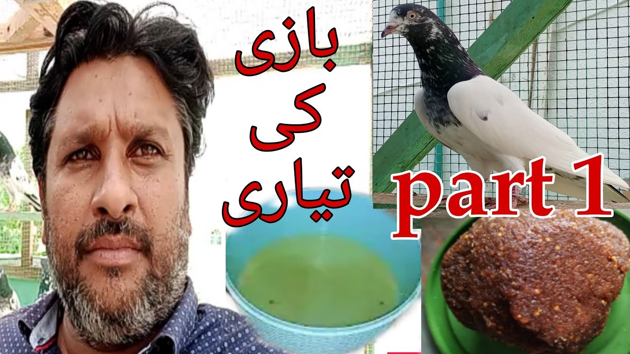 nuska 💯 bazi ki tayari ka part 1 بازی کی مکمل تیاری کا طریقہ
