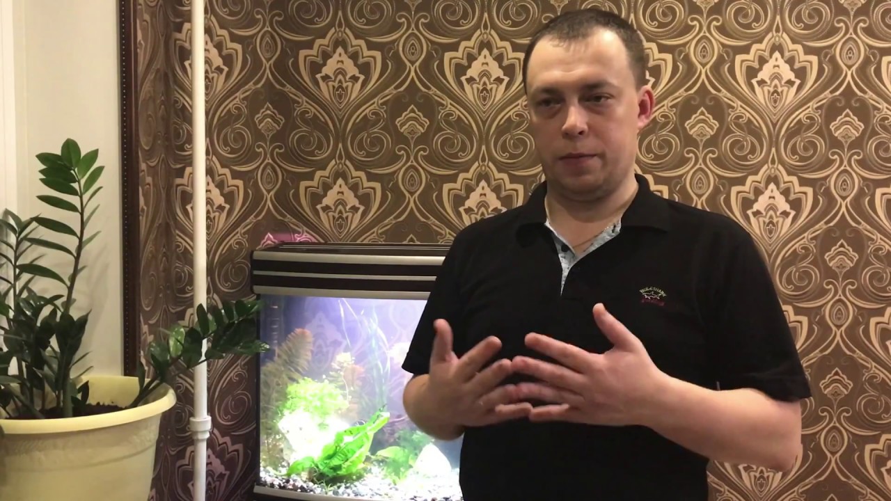 Сравнение внешних фильтров JBL e901 green line и Tetra EX800 plus