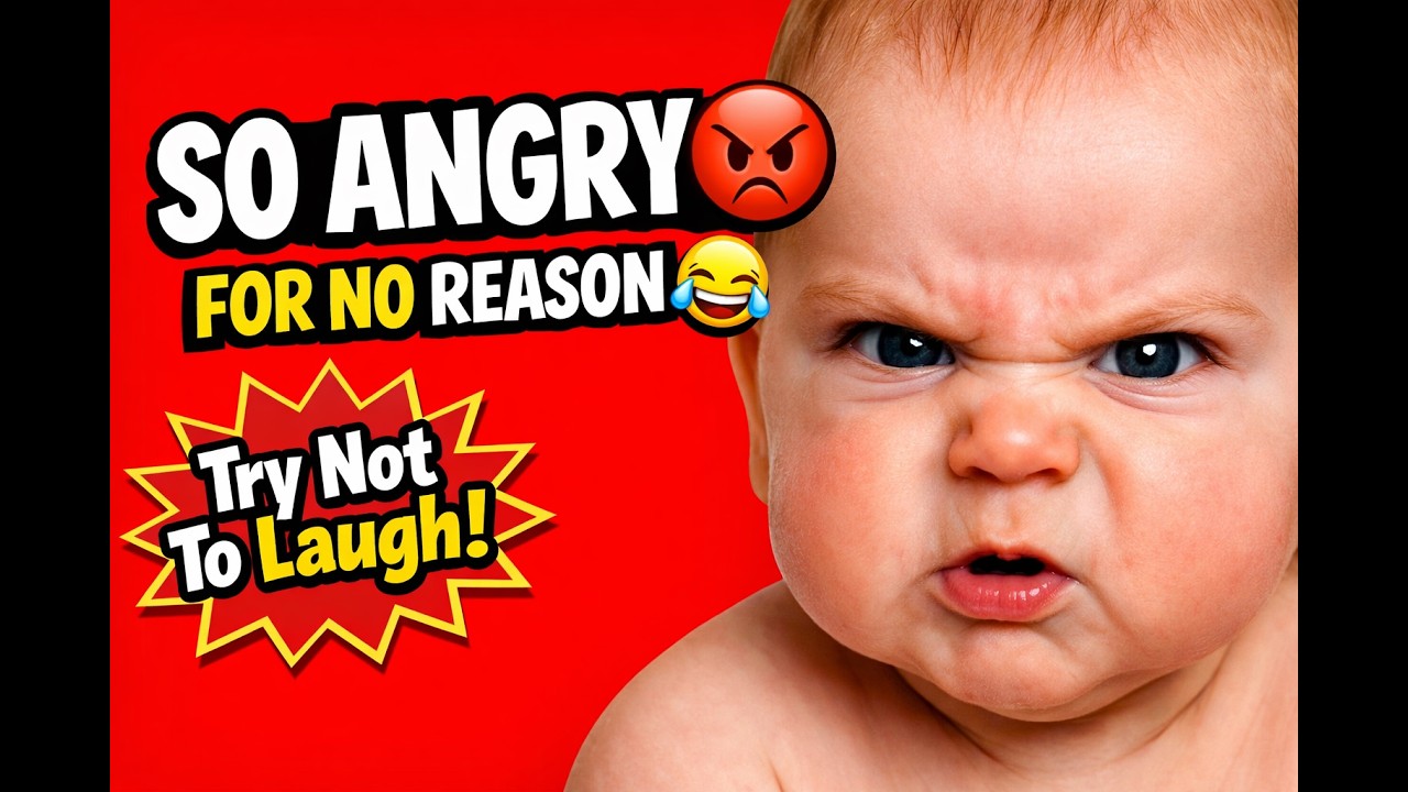Angry Babies make it hard to not laugh - Funny Baby Videos