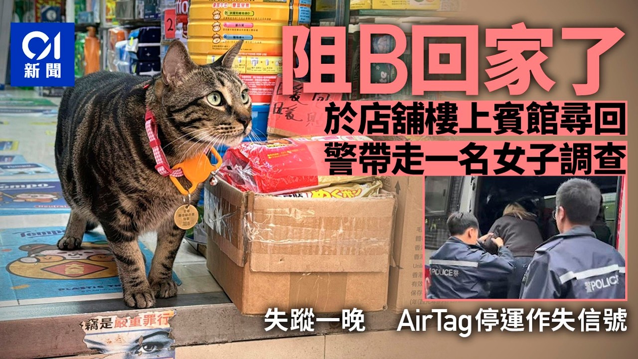 【01秒看新聞】貓店長阻B失蹤｜藥房店員在樓上賓館尋回阻B　警帶走一女子｜01新聞｜阻B｜貓仔｜偷貓｜賓館｜旺角藥房