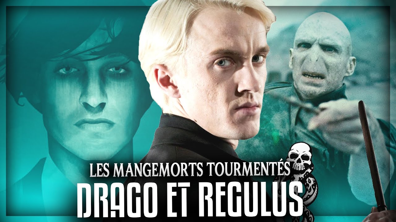 LES VIES PARALLÈLES DE DRAGO MALEFOY ET REGULUS BLACK !