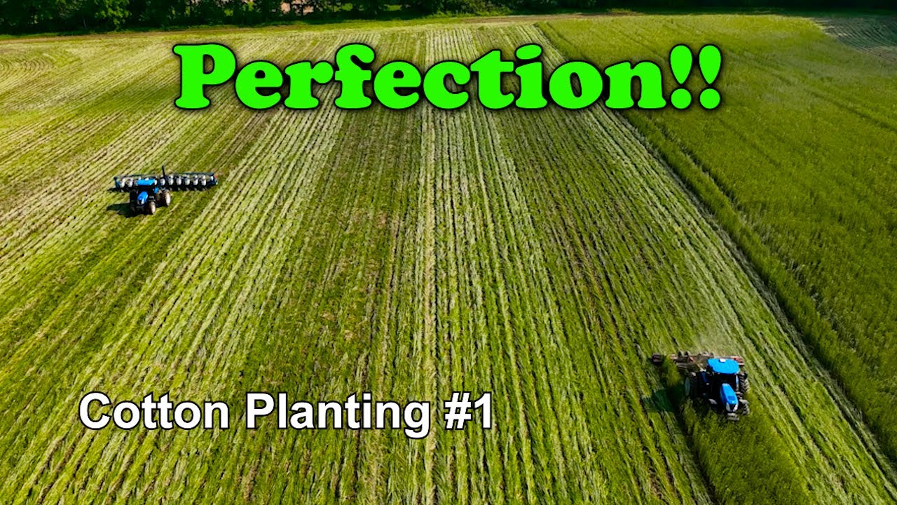 Perfection!!! Cotton Planting #1 (5/8/23)