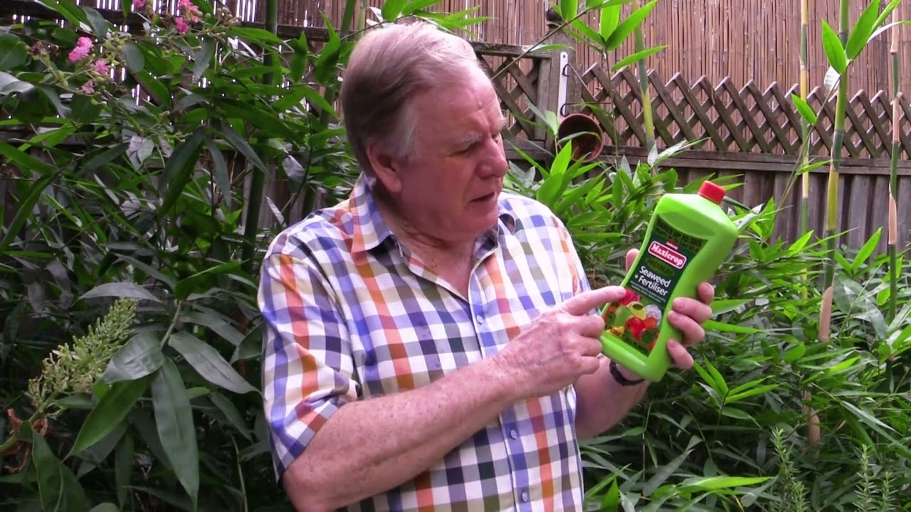 Discover Maxicrop seaweed with Graham Ross