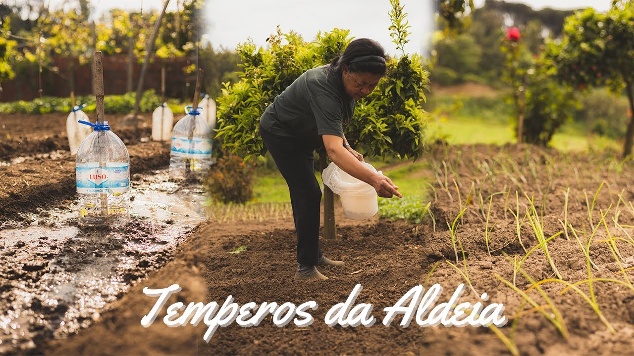 TEMPEROS DA ALDEIA HOJE NO QUINTAL!