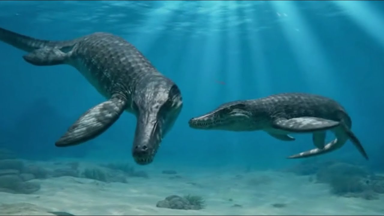 Dakosaurus