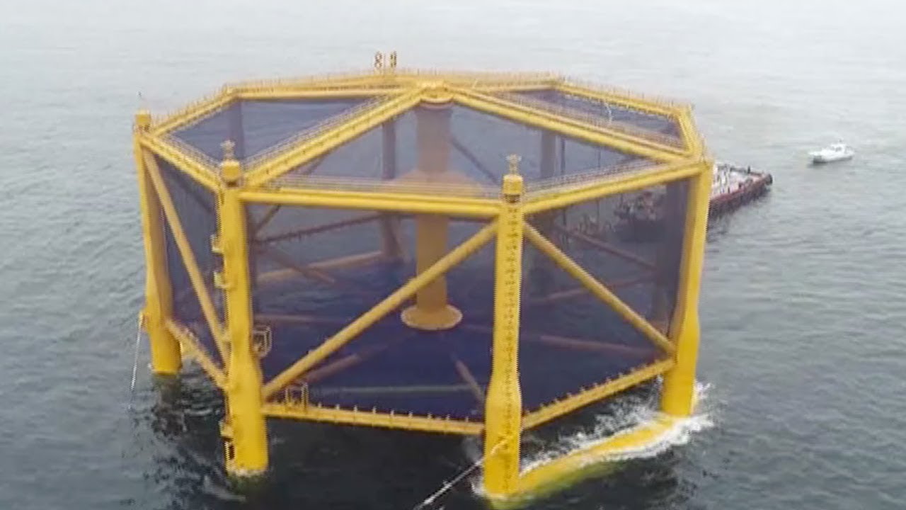 China&rsquo;s first deep-sea fish farm opens for salmon breeding