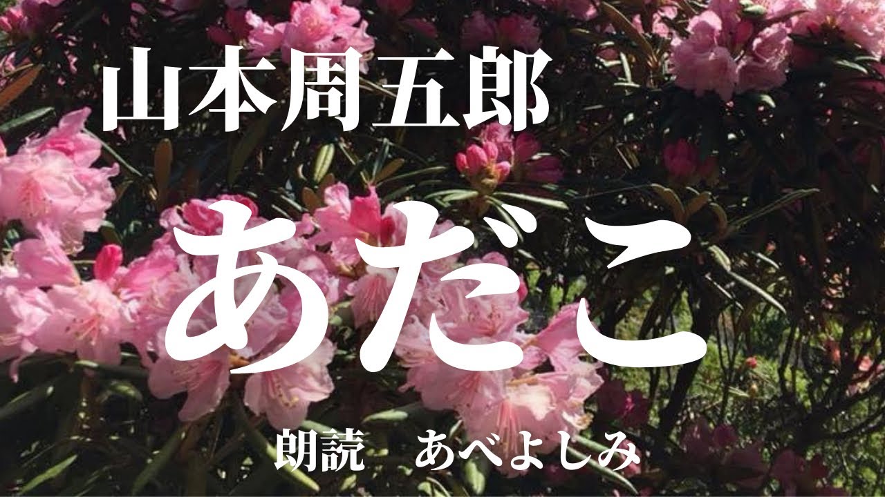 【朗読】山本周五郎「あだこ」　　朗読・あべよしみ
