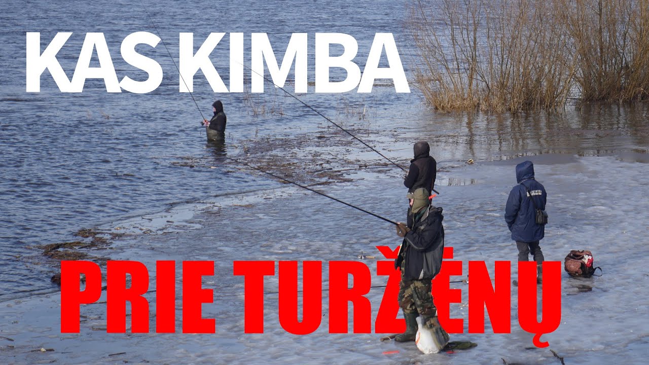 Pirmieji karšiai arba  kas kimba Neryje ties Turžėnais