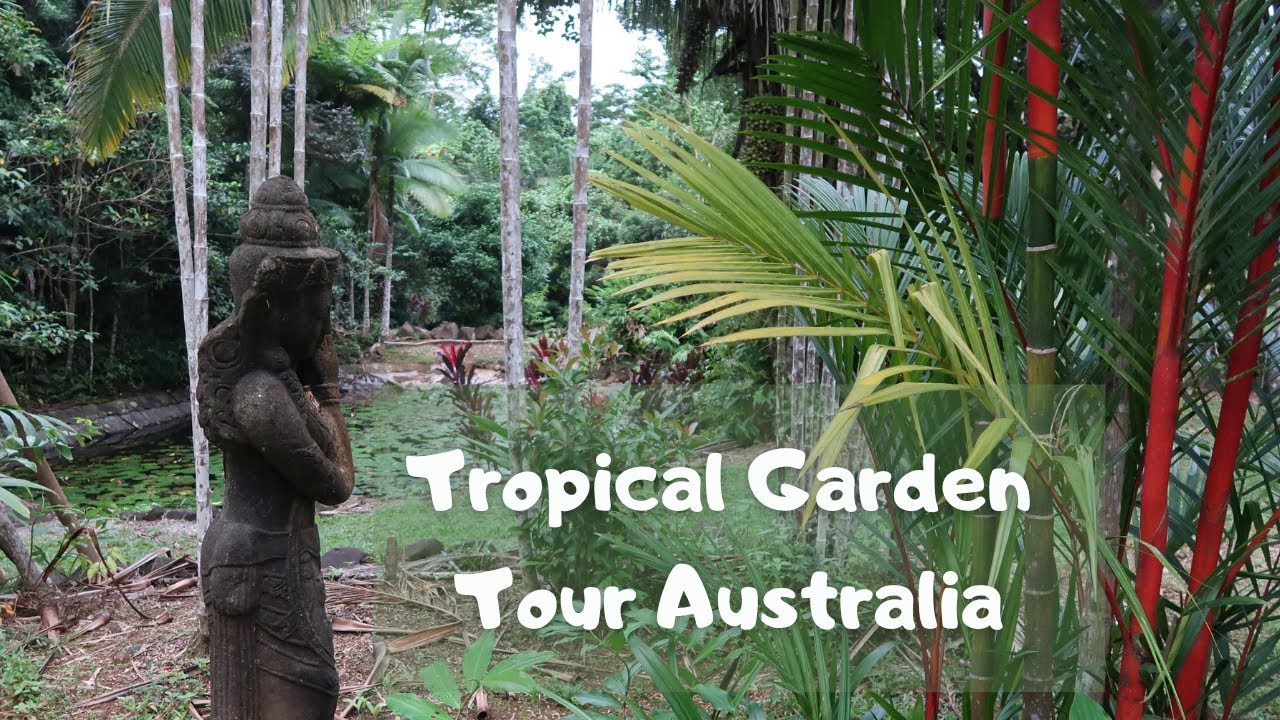 Tropical Garden Tour In Far North Queensland Australia (Cape Tribulation)