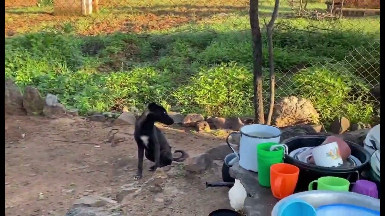 Zimbabwean Village Life 5