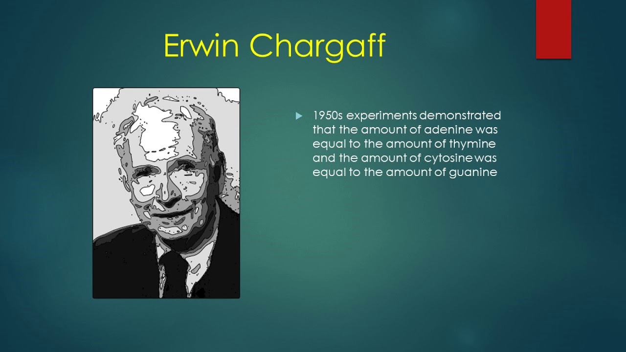 EARLY DNA EXPERIMENTS